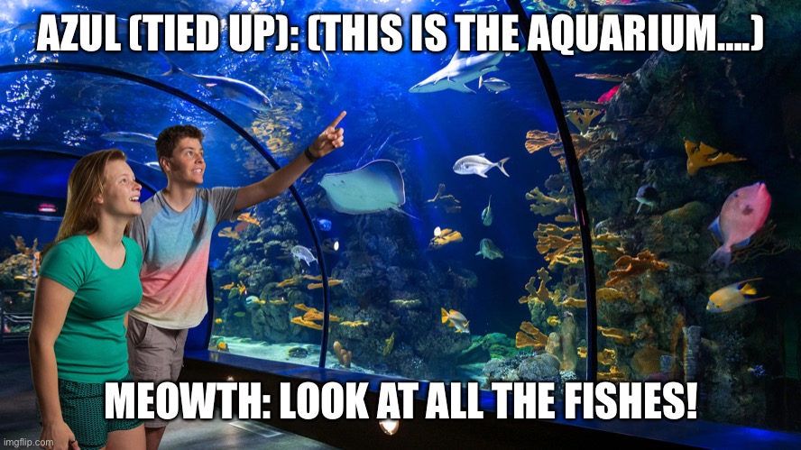 At the aquarium. |  AZUL (TIED UP): (THIS IS THE AQUARIUM….); MEOWTH: LOOK AT ALL THE FISHES! | image tagged in aquarium | made w/ Imgflip meme maker