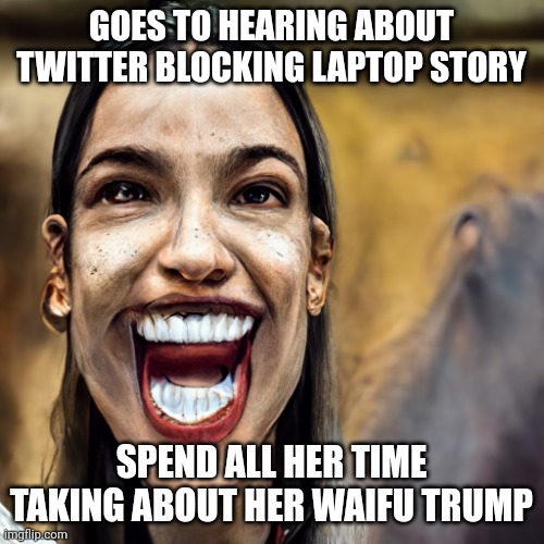 Crazy politician | GOES TO HEARING ABOUT TWITTER BLOCKING LAPTOP STORY; SPEND ALL HER TIME TAKING ABOUT HER WAIFU TRUMP | image tagged in crazy politician | made w/ Imgflip meme maker