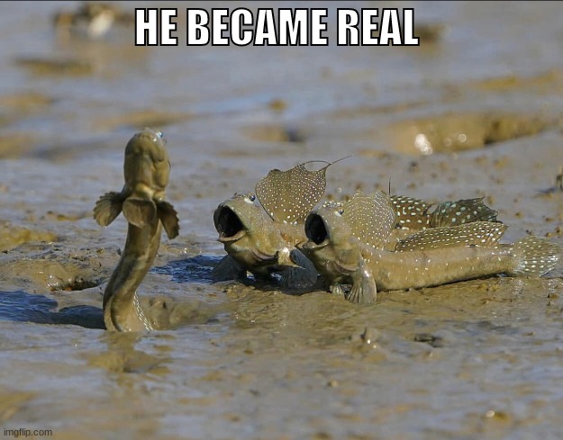 Pog Mudskippers | HE BECAME REAL | image tagged in pog mudskippers | made w/ Imgflip meme maker