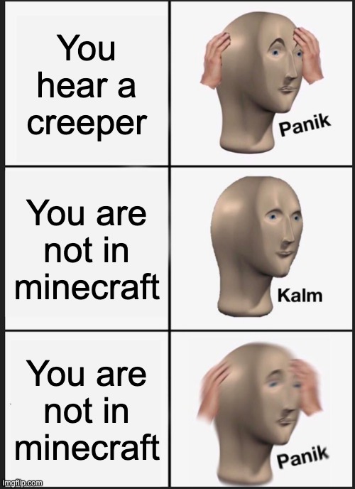 Creeper | You hear a creeper; You are not in minecraft; You are not in minecraft | image tagged in memes,panik kalm panik | made w/ Imgflip meme maker