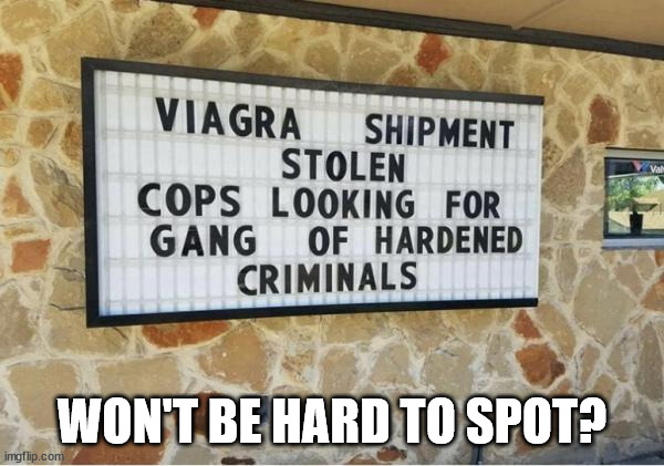 Hardcore criminals... | WON'T BE HARD TO SPOT? | image tagged in hardcore,criminals | made w/ Imgflip meme maker
