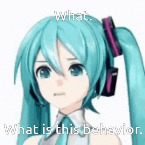 what is this behavior Blank Meme Template