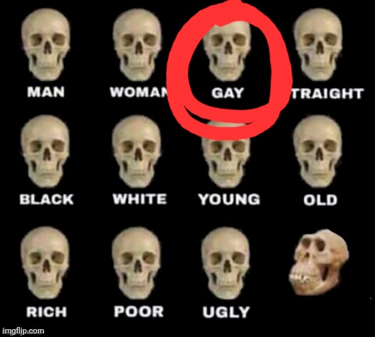 idiot skull | image tagged in idiot skull | made w/ Imgflip meme maker