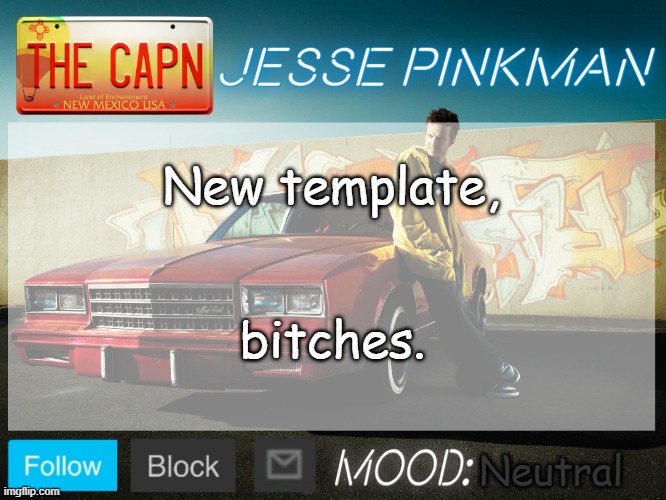 Jesse Pinkman Template | New template, bitches. Neutral | image tagged in jesse pinkman template | made w/ Imgflip meme maker