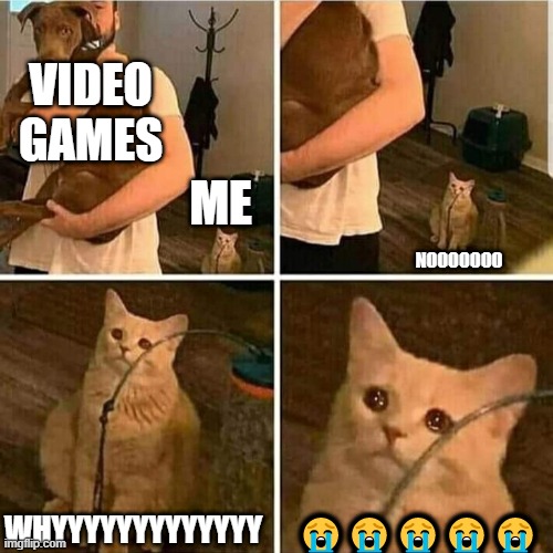 Cat me dog video games | VIDEO GAMES; ME; NOOOOOOO; WHYYYYYYYYYYYYY; 😭😭😭😭😭 | image tagged in sad cat holding dog,walking,go away,panik | made w/ Imgflip meme maker