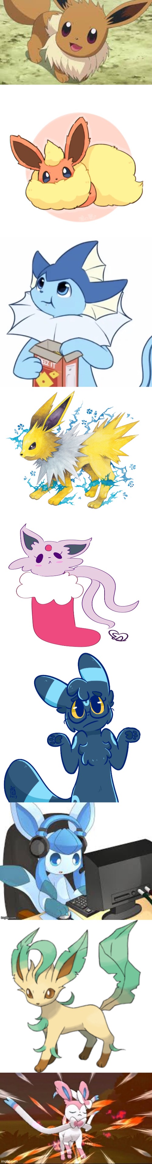 eeveelutions | image tagged in eevee,too much floof,eating vaporeon,jolteon,espeon in a stocking,umbreon shrug | made w/ Imgflip meme maker