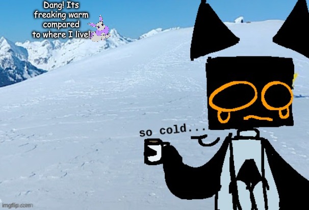 Hmmmm, yes | Dang! Its freaking warm compared to where I live! | made w/ Imgflip meme maker