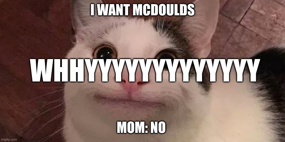 Beluga |  I WANT MCDOULDS; WHHYYYYYYYYYYYYY; MOM: NO | image tagged in beluga | made w/ Imgflip meme maker