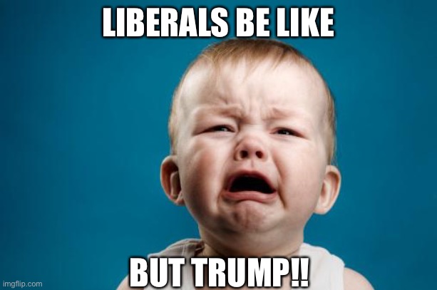 crybaby | LIBERALS BE LIKE BUT TRUMP!! | image tagged in crybaby | made w/ Imgflip meme maker