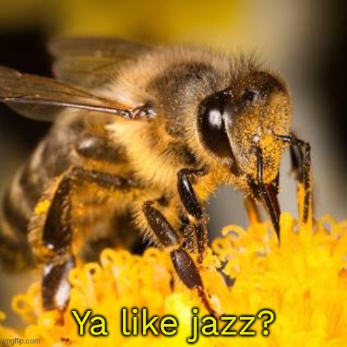Ya like jazz? | made w/ Imgflip meme maker