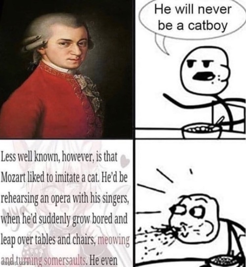 real mozart | image tagged in bruh,lol,why are you reading this | made w/ Imgflip meme maker