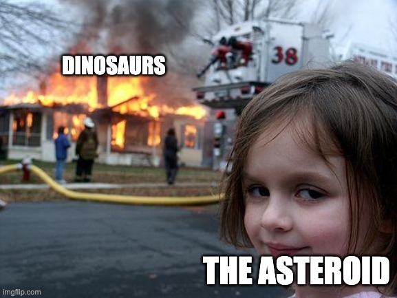 The asteroid that killed the dinosaurs | DINOSAURS; THE ASTEROID | image tagged in memes,disaster girl | made w/ Imgflip meme maker