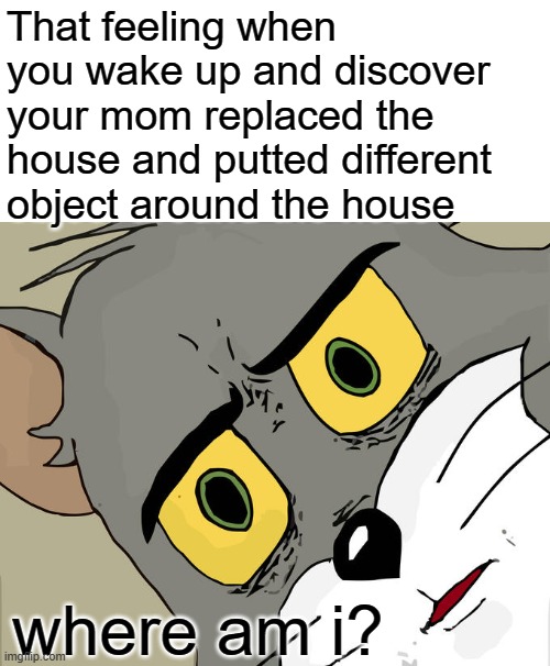 Lol | That feeling when you wake up and discover your mom replaced the house and putted different object around the house; where am i? | image tagged in memes,unsettled tom | made w/ Imgflip meme maker