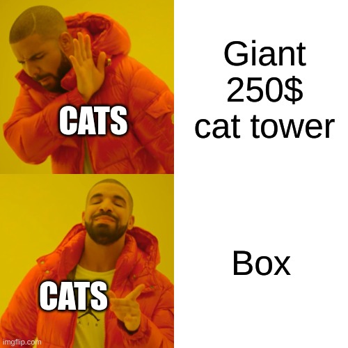 Drake Hotline Bling | Giant 250$ cat tower; CATS; Box; CATS | image tagged in memes,drake hotline bling | made w/ Imgflip meme maker