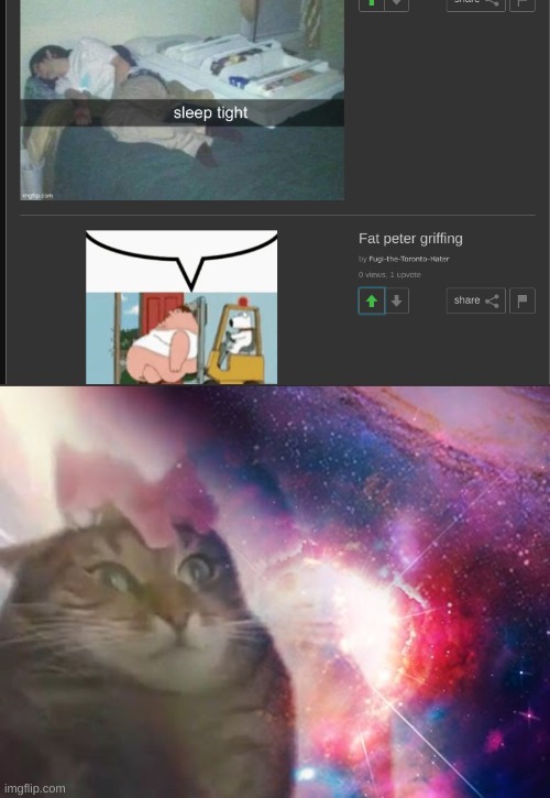 THE PROPHECY IS TRUE | image tagged in the prophecy is true cat | made w/ Imgflip meme maker