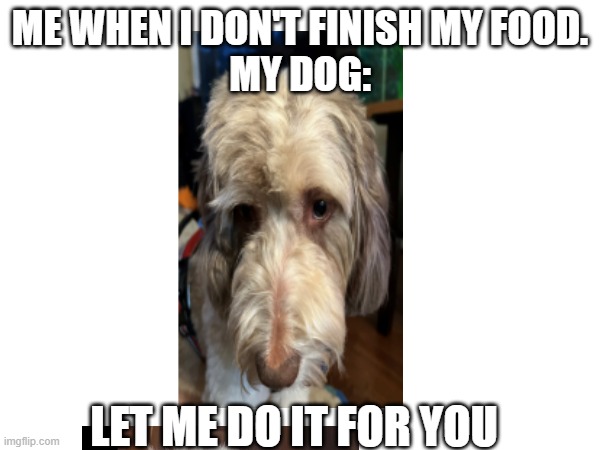 ME WHEN I DON'T FINISH MY FOOD.
MY DOG:; LET ME DO IT FOR YOU | made w/ Imgflip meme maker