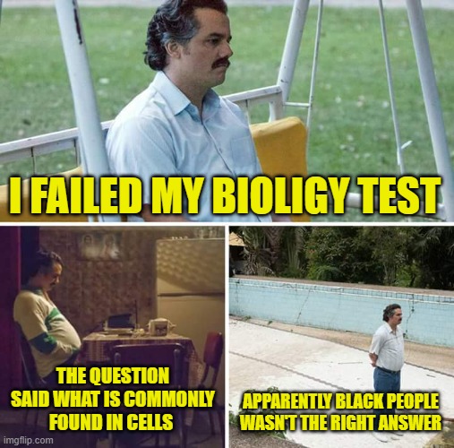 Biology | I FAILED MY BIOLIGY TEST; THE QUESTION SAID WHAT IS COMMONLY FOUND IN CELLS; APPARENTLY BLACK PEOPLE WASN'T THE RIGHT ANSWER | image tagged in memes,sad pablo escobar,offensive,biology,test,answer | made w/ Imgflip meme maker