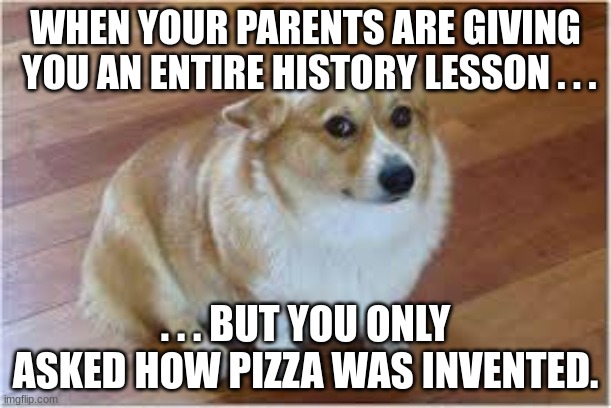 Not funny | WHEN YOUR PARENTS ARE GIVING  YOU AN ENTIRE HISTORY LESSON . . . . . . BUT YOU ONLY ASKED HOW PIZZA WAS INVENTED. | image tagged in memes | made w/ Imgflip meme maker