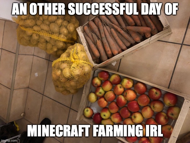 lol but the potato bag was heavy to cary | AN OTHER SUCCESSFUL DAY OF; MINECRAFT FARMING IRL | image tagged in minecraft,farming,in real life,lol,funny | made w/ Imgflip meme maker
