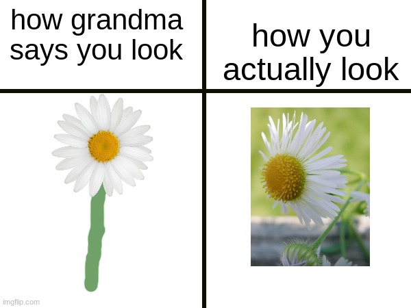 how grandma says you look how you actually look | made w/ Imgflip meme maker