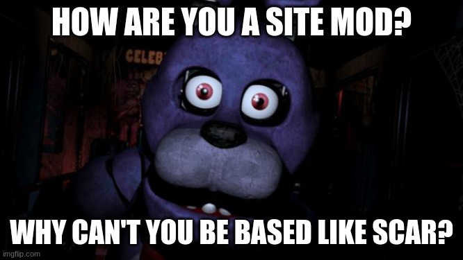 FNAF Bonnie | HOW ARE YOU A SITE MOD? WHY CAN'T YOU BE BASED LIKE SCAR? | image tagged in fnaf bonnie | made w/ Imgflip meme maker