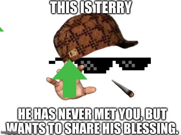 Meet Terry | THIS IS TERRY; HE HAS NEVER MET YOU, BUT WANTS TO SHARE HIS BLESSING. | image tagged in stop upvote begging,goofy ahh,mvp,funny memes | made w/ Imgflip meme maker
