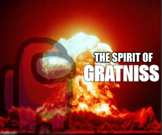 The Spirit of Gratniss | image tagged in the spirit of gratniss | made w/ Imgflip meme maker
