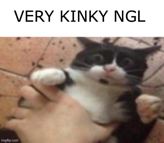 Stream literally had a burst lmfaooo | VERY KINKY NGL | image tagged in cat caught in 4 k | made w/ Imgflip meme maker