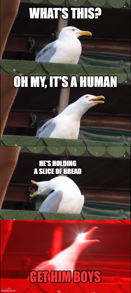 Inhaling Seagull Meme | WHAT'S THIS? OH MY, IT'S A HUMAN; HE'S HOLDING A SLICE OF BREAD; GET HIM BOYS | image tagged in memes,inhaling seagull | made w/ Imgflip meme maker