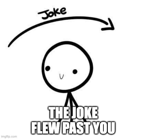 Joke flew past you | THE JOKE FLEW PAST YOU | image tagged in joke flew past you | made w/ Imgflip meme maker