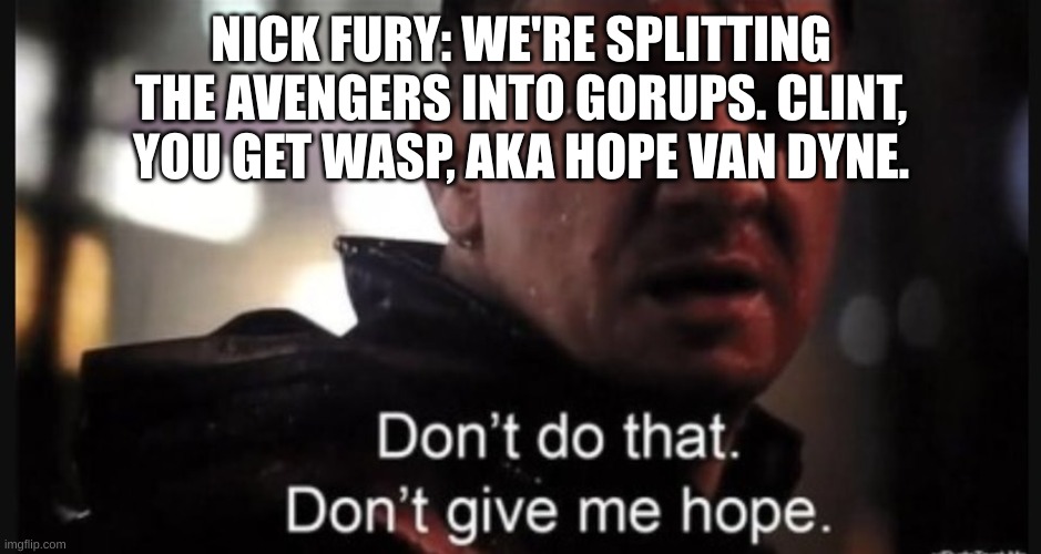 Hawkeye ''don't give me hope'' | NICK FURY: WE'RE SPLITTING THE AVENGERS INTO GROUPS. CLINT, YOU GET WASP, AKA HOPE VAN DYNE. | image tagged in hawkeye ''don't give me hope'' | made w/ Imgflip meme maker
