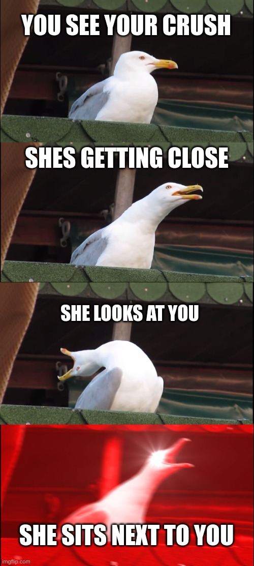 Inhaling Seagull | YOU SEE YOUR CRUSH; SHES GETTING CLOSE; SHE LOOKS AT YOU; SHE SITS NEXT TO YOU | image tagged in memes,inhaling seagull | made w/ Imgflip meme maker