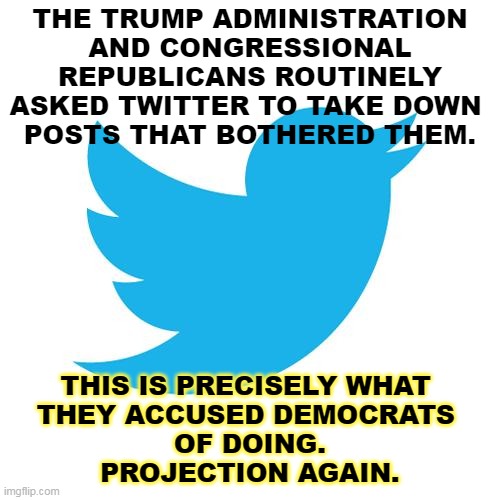 Republicans making like they're the victims again. | THE TRUMP ADMINISTRATION AND CONGRESSIONAL REPUBLICANS ROUTINELY ASKED TWITTER TO TAKE DOWN 
POSTS THAT BOTHERED THEM. THIS IS PRECISELY WHAT 
THEY ACCUSED DEMOCRATS 
OF DOING.
PROJECTION AGAIN. | image tagged in twitter birds says,republican,bullies,victims,boo hoo,twitter | made w/ Imgflip meme maker