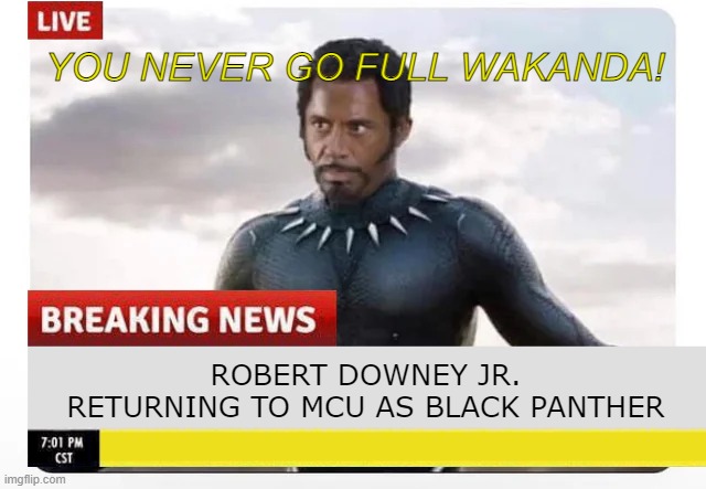 Black Panther Redux | YOU NEVER GO FULL WAKANDA! ROBERT DOWNEY JR. RETURNING TO MCU AS BLACK PANTHER | image tagged in black panther | made w/ Imgflip meme maker