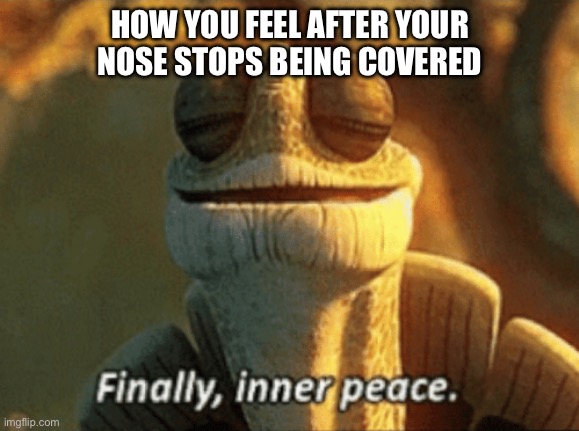 Inner peace | HOW YOU FEEL AFTER YOUR NOSE STOPS BEING COVERED | image tagged in finally inner peace | made w/ Imgflip meme maker