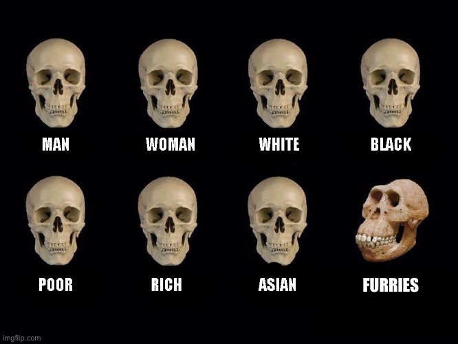 empty skulls of truth | FURRIES | image tagged in empty skulls of truth,why are you reading the tags,why is the fbi here | made w/ Imgflip meme maker