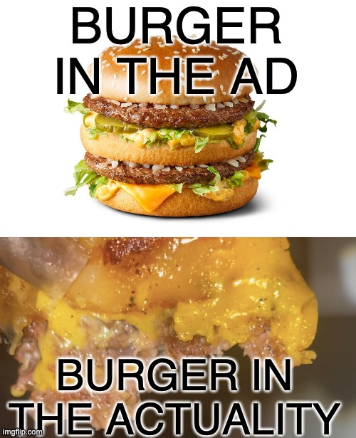 this is why I love that chicken from popeyes | BURGER IN THE AD; BURGER IN THE ACTUALITY | image tagged in funny,memes,burger king,mcdonalds,burger,expectation vs reality | made w/ Imgflip meme maker