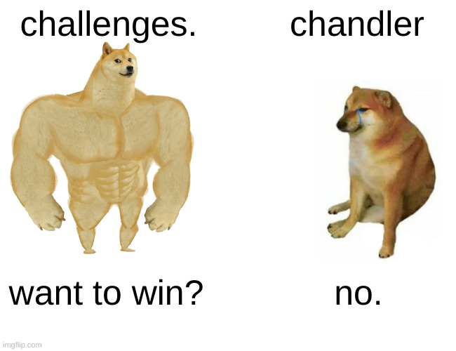 Buff Doge vs. Cheems Meme | challenges. chandler; want to win? no. | image tagged in memes,buff doge vs cheems | made w/ Imgflip meme maker