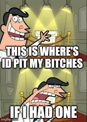 This Is Where I'd Put My Trophy If I Had One | THIS IS WHERE'S ID PIT MY BITCHES; IF I HAD ONE | image tagged in memes,this is where i'd put my trophy if i had one | made w/ Imgflip meme maker
