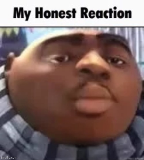 my honest reaction | image tagged in my honest reaction gru | made w/ Imgflip meme maker