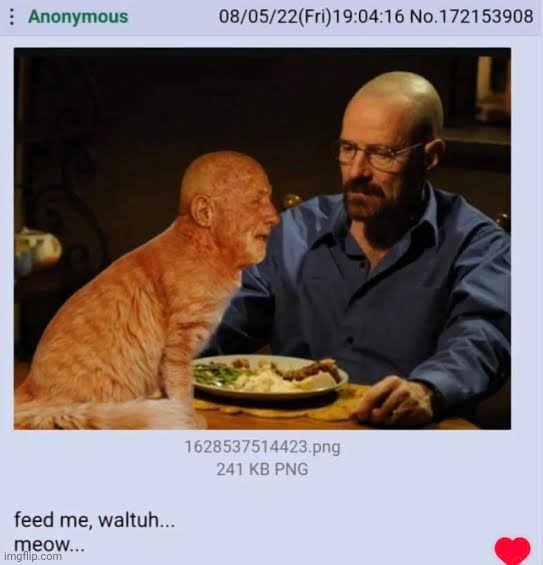 This business requires restraint. | image tagged in mike ehrmantraut,breaking bad,walter white,finger,cats | made w/ Imgflip meme maker