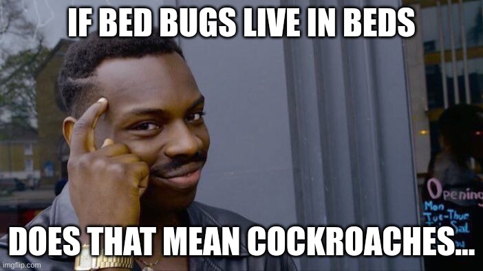 Roll Safe Think About It | IF BED BUGS LIVE IN BEDS; DOES THAT MEAN COCKROACHES... | image tagged in memes,roll safe think about it | made w/ Imgflip meme maker