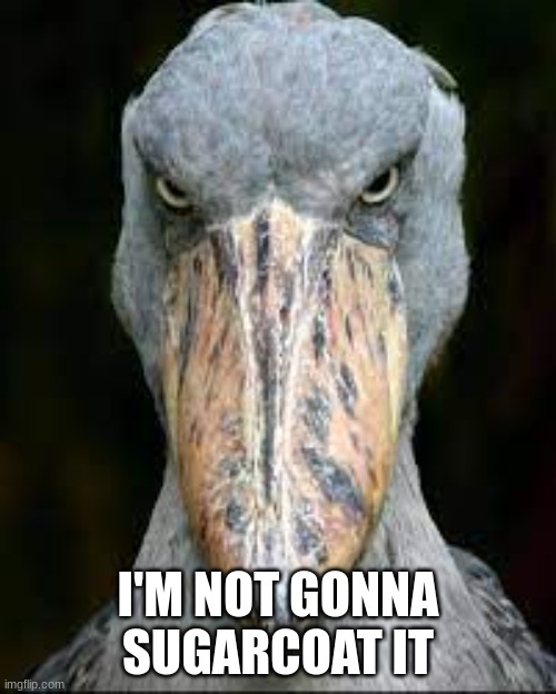 scary bird | I'M NOT GONNA SUGARCOAT IT | image tagged in scary bird | made w/ Imgflip meme maker