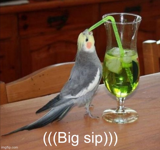 Bird drinking green juice | (((Big sip))) | image tagged in bird drinking green juice | made w/ Imgflip meme maker