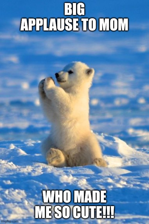 Polar bear clapping  | BIG APPLAUSE TO MOM; WHO MADE ME SO CUTE!!! | image tagged in polar bear clapping | made w/ Imgflip meme maker