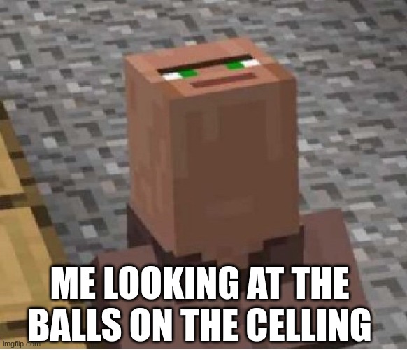 the balls on ceillinge | ME LOOKING AT THE BALLS ON THE CELLING | image tagged in minecraft villager looking up,memes,funny memes,funny | made w/ Imgflip meme maker