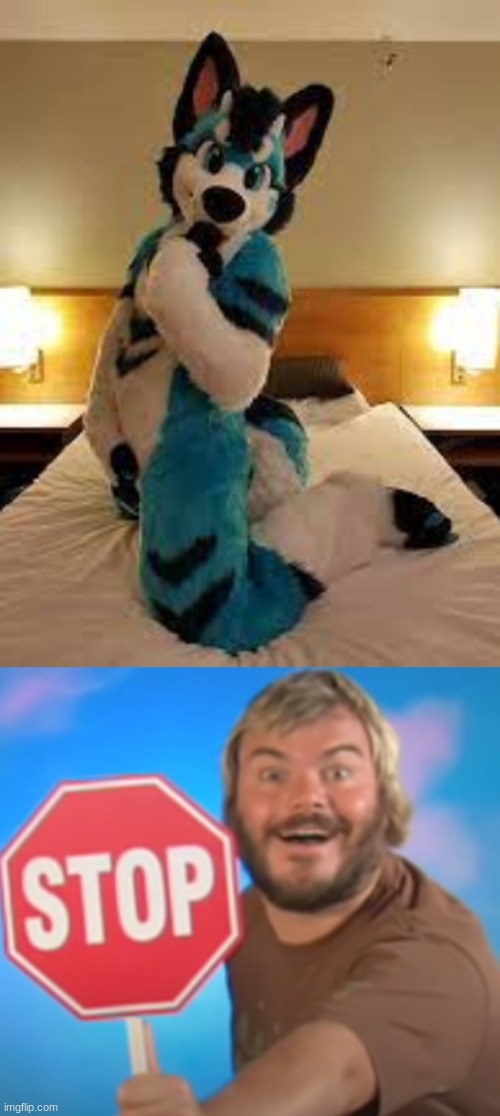 just stop | image tagged in anti furry,jack black,stop,stop sign,memes,fursuit | made w/ Imgflip meme maker