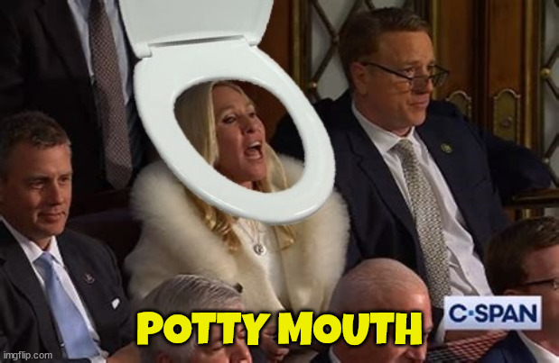 Please put seat down | POTTY MOUTH | image tagged in mtg,sotu,biden,maga,potty mouth,poop | made w/ Imgflip meme maker