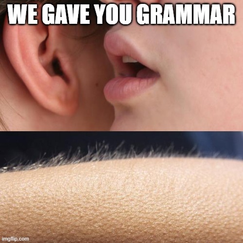 we gave you grammar | WE GAVE YOU GRAMMAR | image tagged in whisper and goosebumps,iran,we gave you grammar,persians,persian,arabic grammar | made w/ Imgflip meme maker