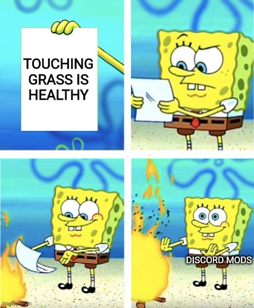 Day 2 of making a meme with a SpongeBob template | TOUCHING GRASS IS HEALTHY; DISCORD MODS | image tagged in spongebob burning paper | made w/ Imgflip meme maker